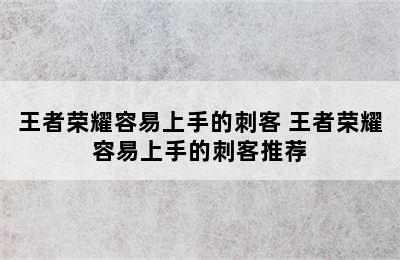 王者荣耀容易上手的刺客 王者荣耀容易上手的刺客推荐